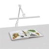 Artograph T-Bar Lamp with Table Clamp White