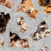 QT Fabrics Puppy Toss on Gray Novelty 100% Cotton Price per Yard Novelty