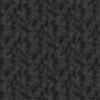 Quilt Back 118 Inch Wide Charcoal  Equipoise Blender Quilting Cotton Black