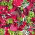 Tela «Christmas Jolly» en rojo, 100 % algodón, vendida por yardas
