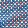 SINGER®  Fabric, 100% Cotton, 18 x 21 Inches, 5 Piece Fat Quarter Bundle, Stars & Gnomes