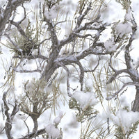 True Timber on White 100% Polyester By the yard