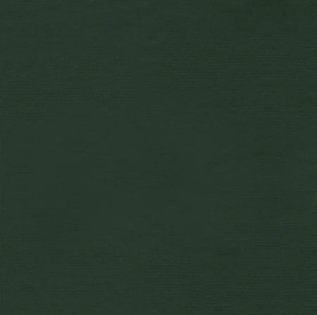 Tela «FLANNEL» de color verde oscuro liso, de la colección «Paintbrush Studio» de Fabri-Quilt