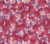 Valentine Bubble Hearts on Cream 100% Cotton Price per Yard