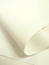 Premium Canvas PVC Outdoor Waterproof Fabric / Ivory / Sold By The Yard