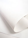 Premium Canvas PVC Outdoor Waterproof Fabric / White / Sold By The Yard