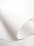 Premium Canvas PVC Outdoor Waterproof Fabric / White / Sold By The Yard
