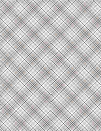 Cream Winter Light Bias Plaid