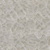 Wyla Casa Lace 58" Ivory 6 Yds