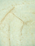 Arctic Rabbit Minky / Ivory