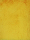 Arctic Rabbit Minky / Yellow