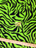 Animal Zebra Print Lime Fleece Fabric