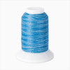 Woolly Nylon #VA103 - Variegated Blue Cone