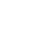 Programa Aguja Gemela